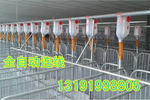 大小型豬舍均可安裝自動化下料線，提升養(yǎng)豬效率與經濟效益