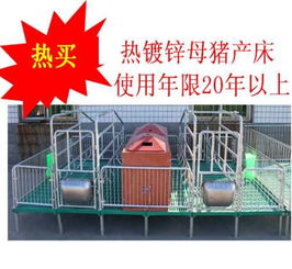 歐牧養(yǎng)豬設(shè)備 探析雙體母豬產(chǎn)床優(yōu)劣與市場報價誤區(qū)