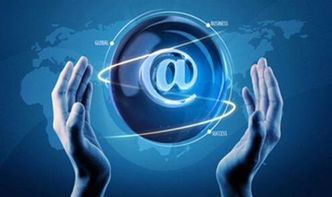 黑蜘蛛 數據賦能，引領傳統企業掘金跨境電商新藍海